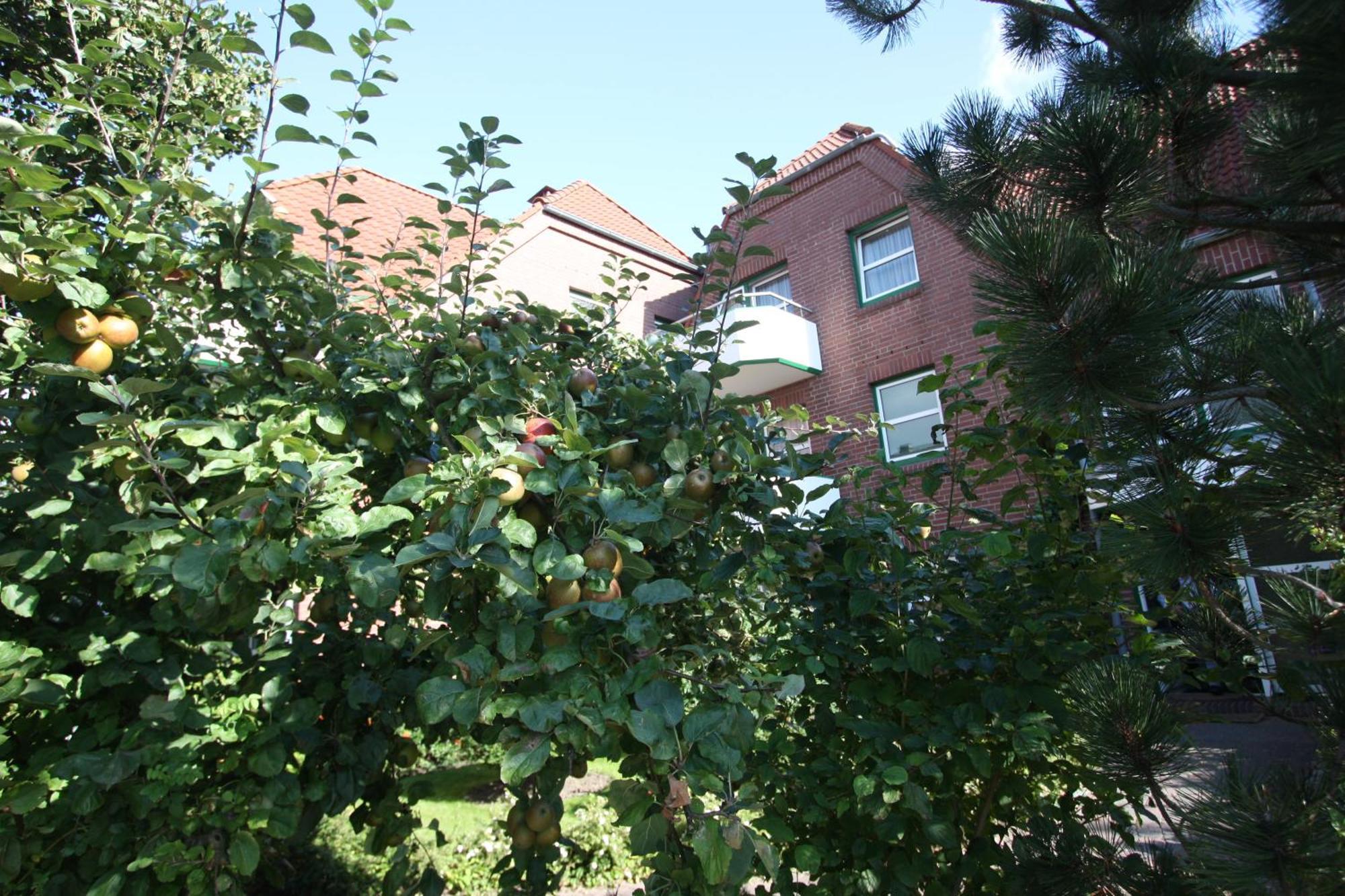 Apartmenthaus Hollaenderei Büsum Zewnętrze zdjęcie